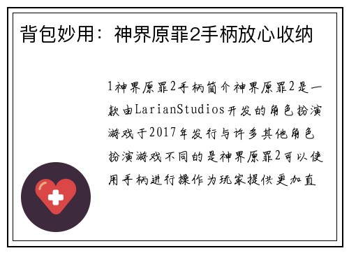 背包妙用：神界原罪2手柄放心收纳